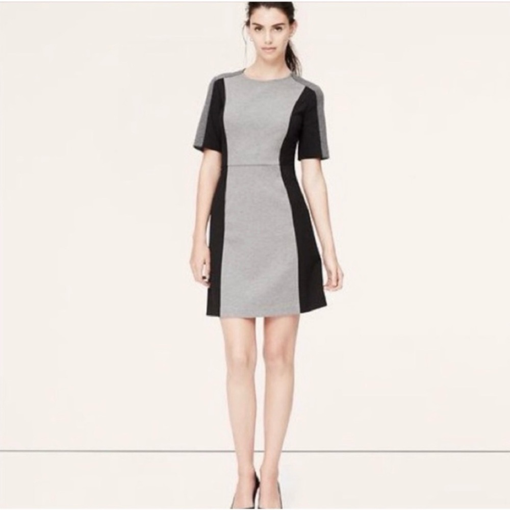 LOFT Gray and Black Mini Dress